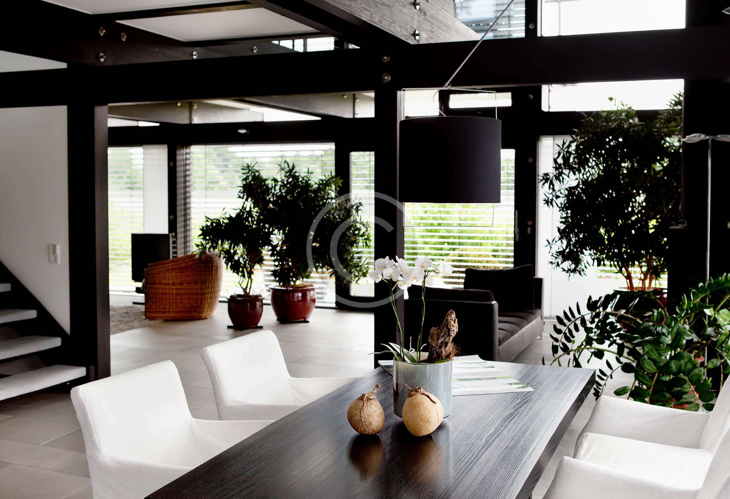 Comfortable Mansion